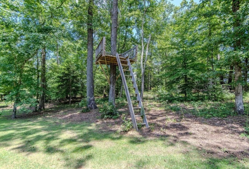 Wood-built treehouse structure with a wooden ladder, nestled among mature trees