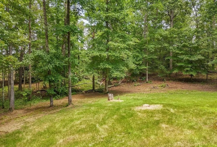 Expansive natural setting featuring a manicured lawn area and mature deciduous trees