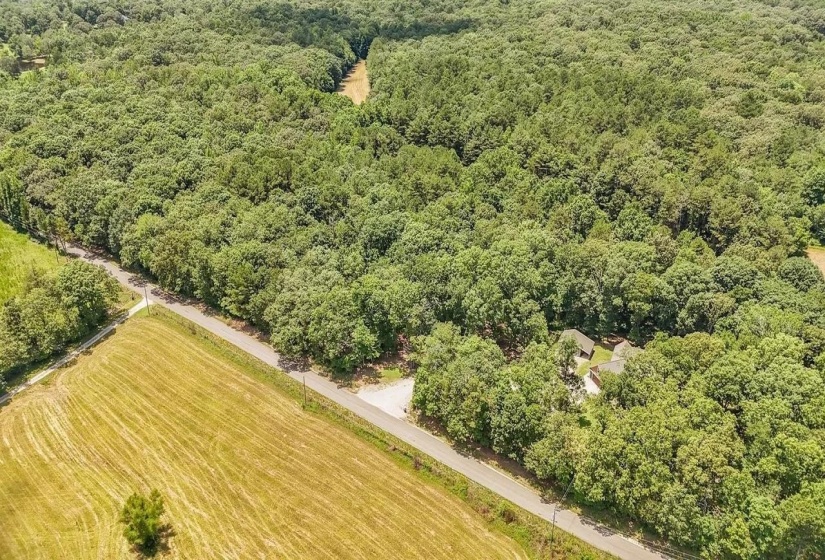 Expansive wooded acreage with a single-family residence, bordered by a paved road and open fields
