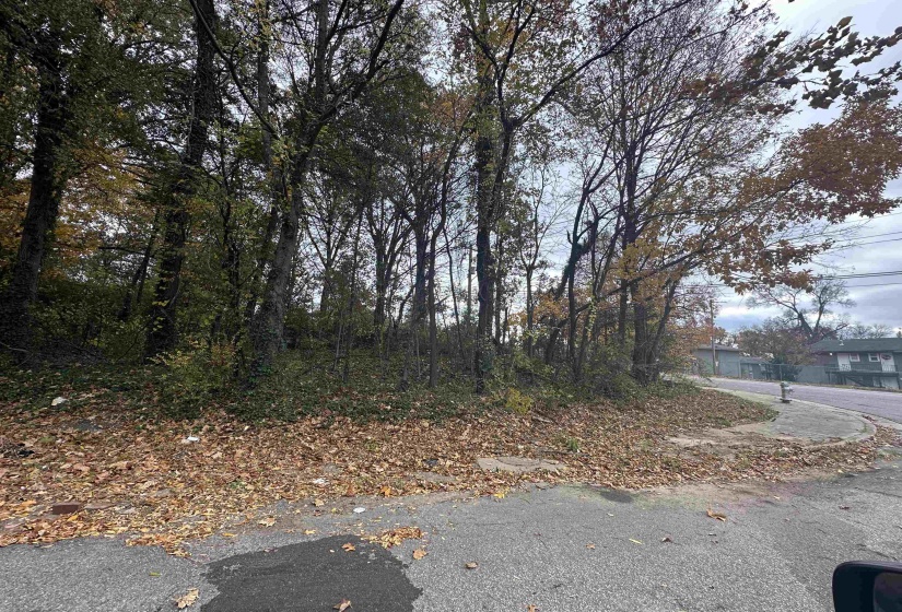 2308 KETCHUM RD, Memphis, Tennessee 38114, ,Land,For Sale,KETCHUM,10223419