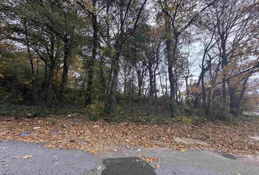 2308 KETCHUM RD, Memphis, Tennessee 38114, ,Land,For Sale,KETCHUM,10223419