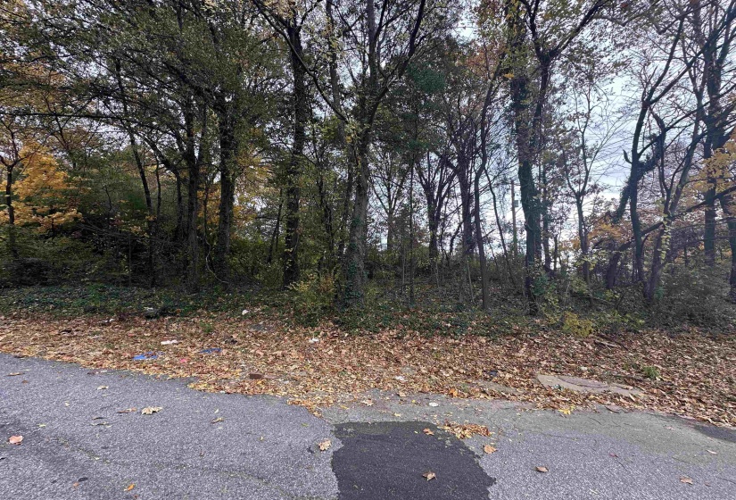 2308 KETCHUM RD, Memphis, Tennessee 38114, ,Land,For Sale,KETCHUM,10223419