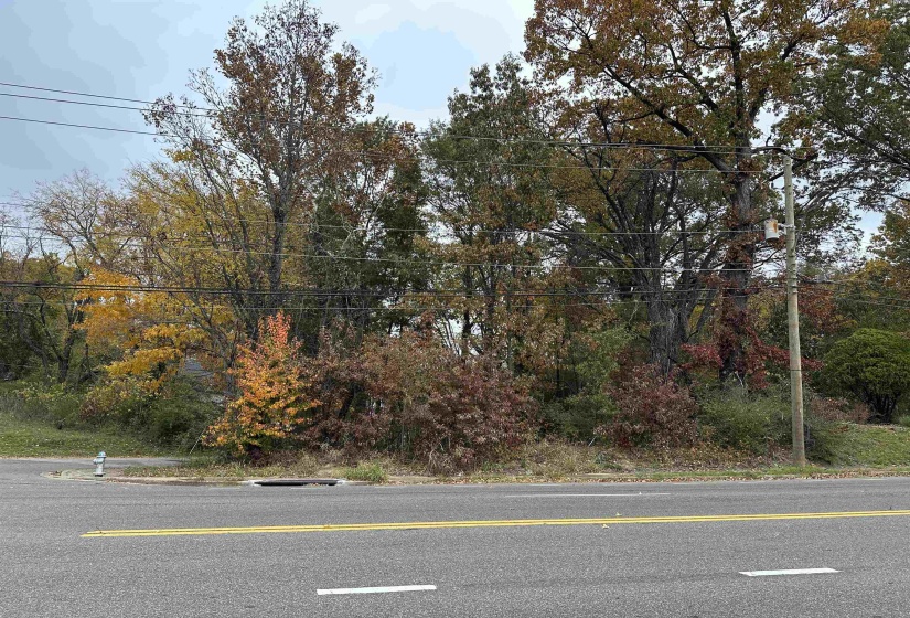 2308 KETCHUM RD, Memphis, Tennessee 38114, ,Land,For Sale,KETCHUM,10223419
