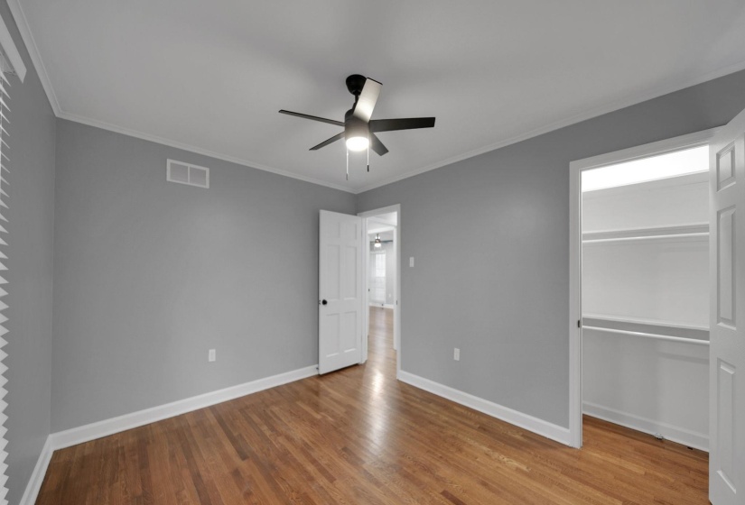 Unfurnished bedroom with crown molding, light wood-style flooring, ceiling fan, and a walk in closet