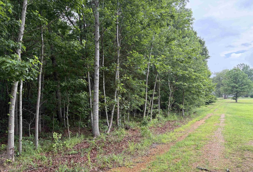 745 FOSTER RD, Adamsville, Tennessee 38310, ,Land,For Sale,FOSTER,10223434