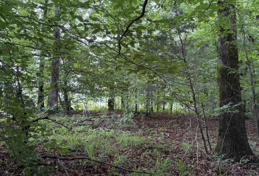 745 FOSTER RD, Adamsville, Tennessee 38310, ,Land,For Sale,FOSTER,10223434