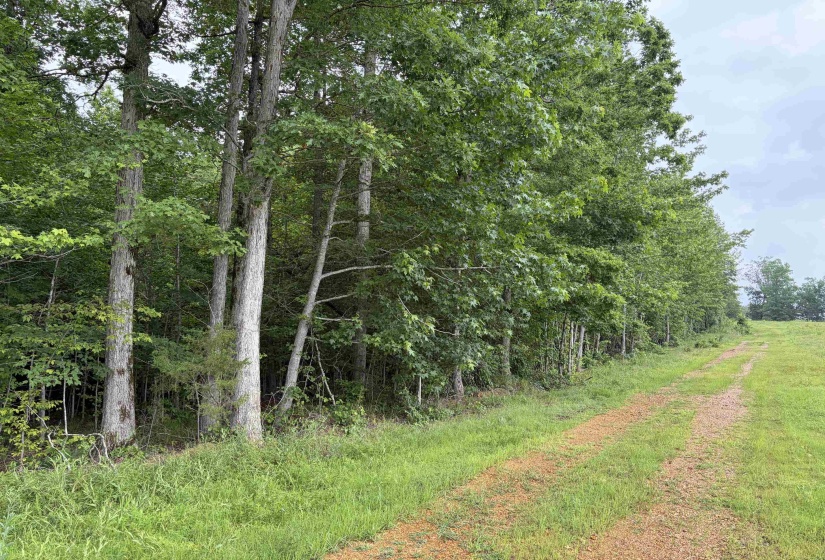 745 FOSTER RD, Adamsville, Tennessee 38310, ,Land,For Sale,FOSTER,10223434