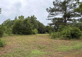 745 FOSTER RD, Adamsville, Tennessee 38310, ,Land,For Sale,FOSTER,10223434 745 FOSTER RD, Adamsville, Tennessee 38310, ,Land,For Sale,FOSTER,10223434