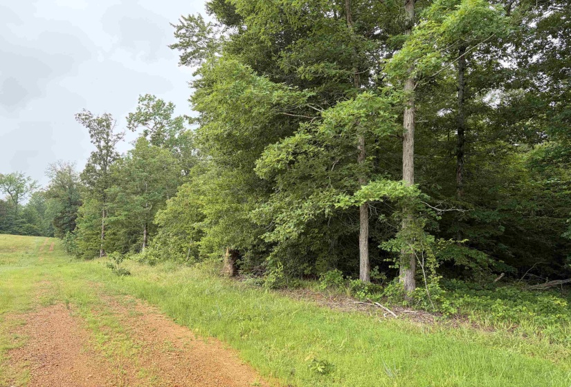 745 FOSTER RD, Adamsville, Tennessee 38310, ,Land,For Sale,FOSTER,10223434