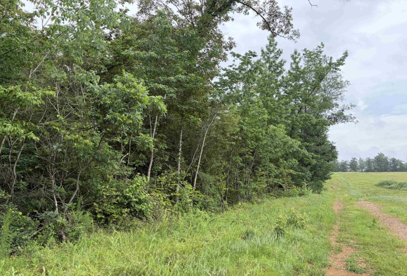 745 FOSTER RD, Adamsville, Tennessee 38310, ,Land,For Sale,FOSTER,10223434