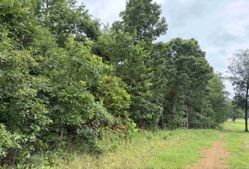 745 FOSTER RD, Adamsville, Tennessee 38310, ,Land,For Sale,FOSTER,10223434