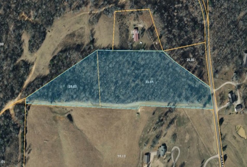 745 FOSTER RD, Adamsville, Tennessee 38310, ,Land,For Sale,FOSTER,10223434