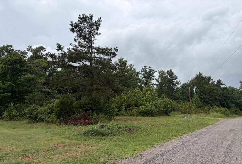 745 FOSTER RD, Adamsville, Tennessee 38310, ,Land,For Sale,FOSTER,10223434