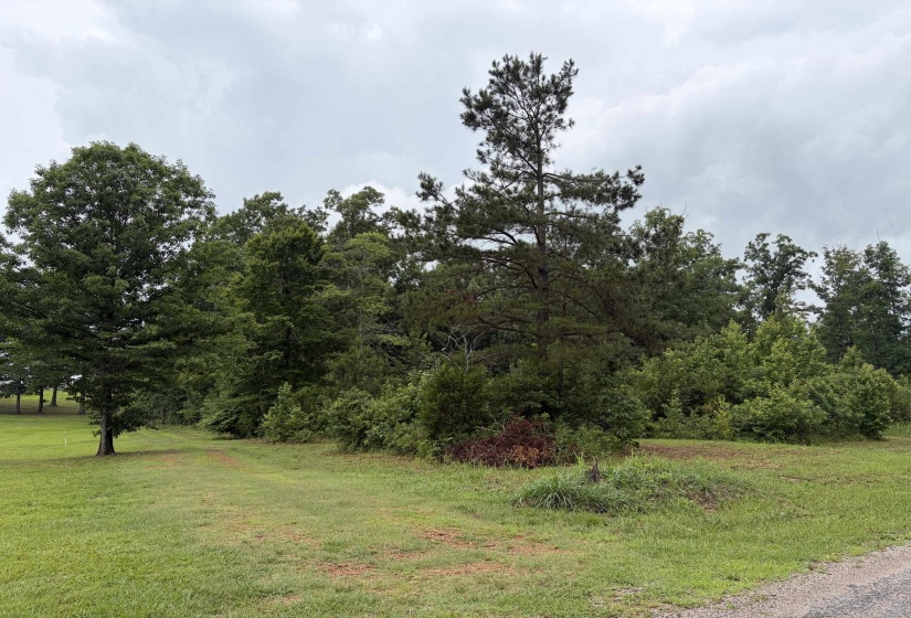 745 FOSTER RD, Adamsville, Tennessee 38310, ,Land,For Sale,FOSTER,10223434