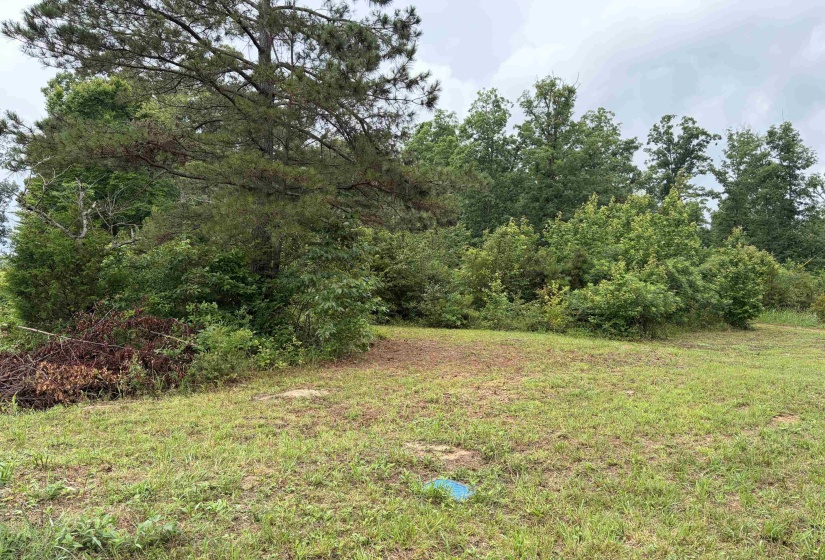 745 FOSTER RD, Adamsville, Tennessee 38310, ,Land,For Sale,FOSTER,10223434