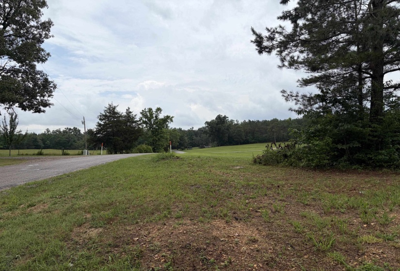 745 FOSTER RD, Adamsville, Tennessee 38310, ,Land,For Sale,FOSTER,10223434