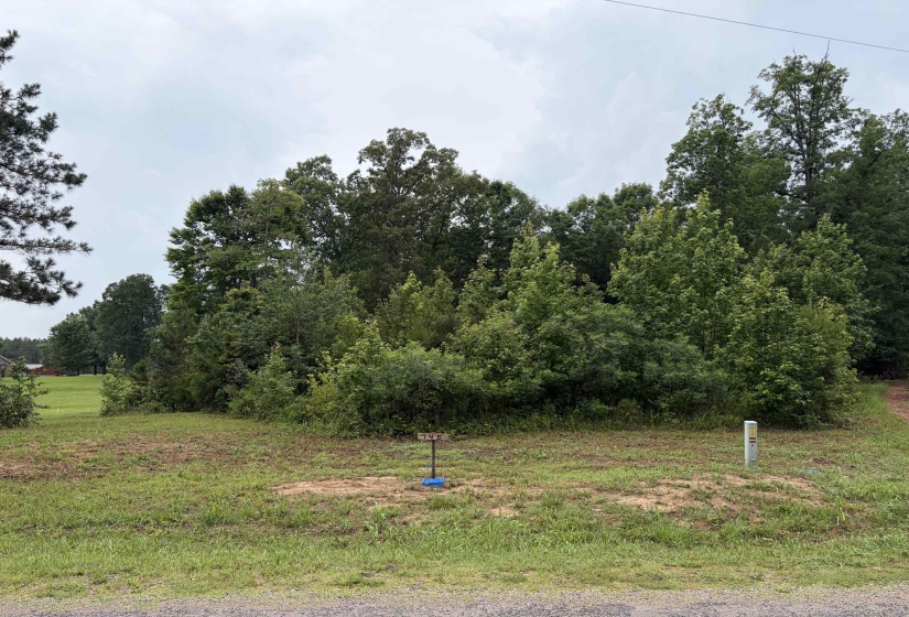 745 FOSTER RD, Adamsville, Tennessee 38310, ,Land,For Sale,FOSTER,10223434