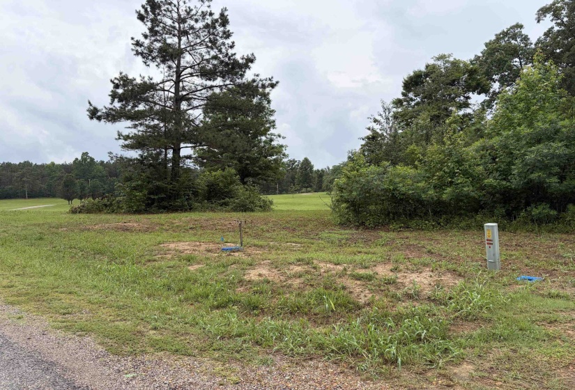 745 FOSTER RD, Adamsville, Tennessee 38310, ,Land,For Sale,FOSTER,10223434
