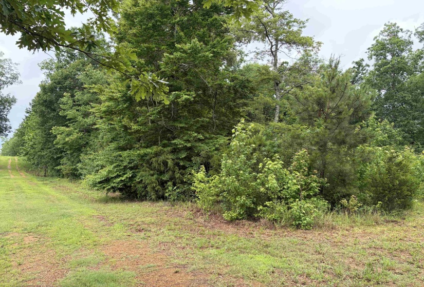 745 FOSTER RD, Adamsville, Tennessee 38310, ,Land,For Sale,FOSTER,10223434