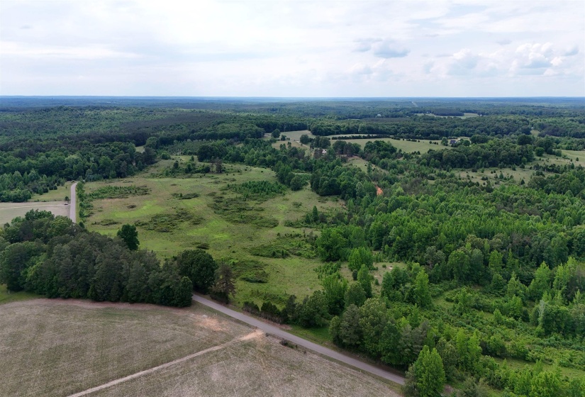 0 BEAUTY HILL RD, Bethel Springs, Tennessee 38315, ,Land,For Sale,BEAUTY HILL,10223457