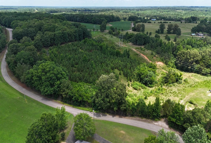 0 BEAUTY HILL RD, Bethel Springs, Tennessee 38315, 0 , 0 ,0,Land,For Sale,BEAUTY HILL,0,10223457
