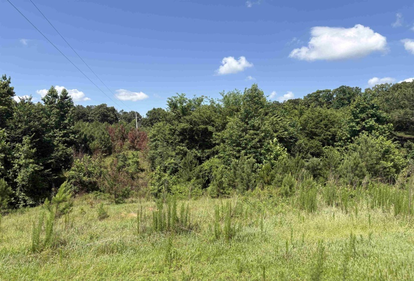 0 BEAUTY HILL RD, Bethel Springs, Tennessee 38315, 0 , 0 ,0,Land,For Sale,BEAUTY HILL,0,10223457
