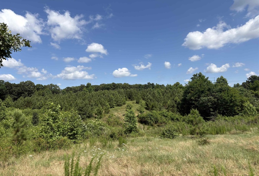 0 BEAUTY HILL RD, Bethel Springs, Tennessee 38315, 0 , 0 ,0,Land,For Sale,BEAUTY HILL,0,10223457