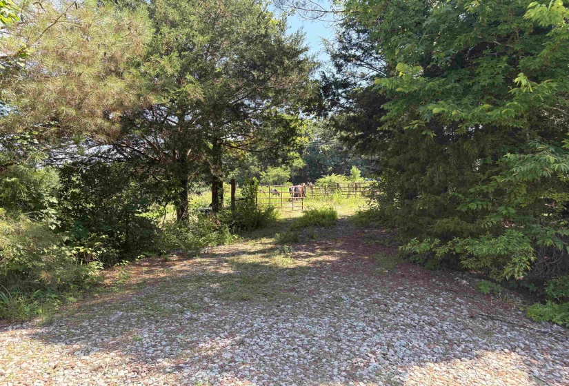 0 BEAUTY HILL RD, Bethel Springs, Tennessee 38315, 0 , 0 ,0,Land,For Sale,BEAUTY HILL,0,10223457