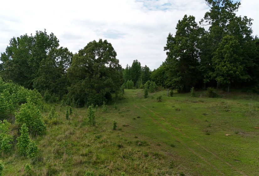 0 BEAUTY HILL RD, Bethel Springs, Tennessee 38315, ,Land,For Sale,BEAUTY HILL,10223457