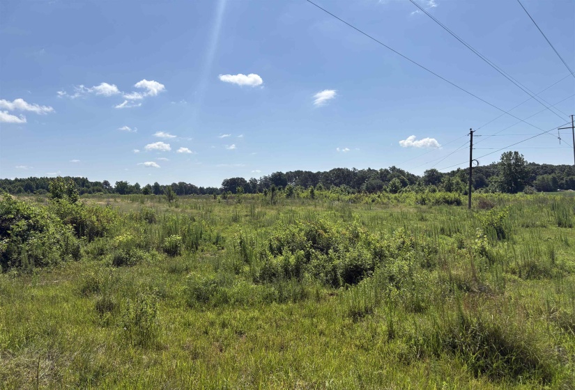 0 BEAUTY HILL RD, Bethel Springs, Tennessee 38315, 0 , 0 ,0,Land,For Sale,BEAUTY HILL,0,10223459