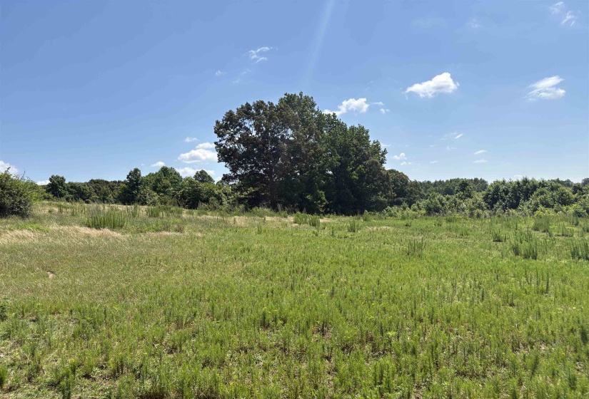 0 BEAUTY HILL RD, Bethel Springs, Tennessee 38315, 0 , 0 ,0,Land,For Sale,BEAUTY HILL,0,10223459