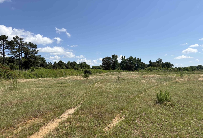 0 BEAUTY HILL RD, Bethel Springs, Tennessee 38315, 0 , 0 ,0,Land,For Sale,BEAUTY HILL,0,10223459