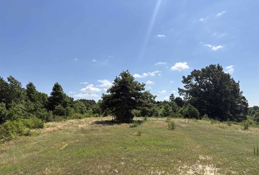 0 BEAUTY HILL RD, Bethel Springs, Tennessee 38315, 0 , 0 ,0,Land,For Sale,BEAUTY HILL,0,10223459