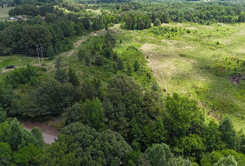 0 BEAUTY HILL RD, Bethel Springs, Tennessee 38315, 0 , 0 ,0,Land,For Sale,BEAUTY HILL,0,10223459