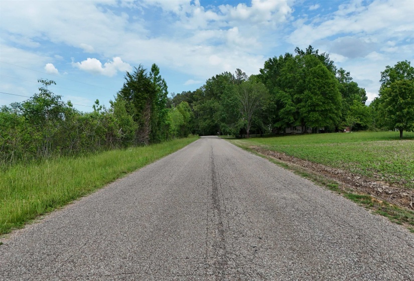 0 BEAUTY HILL RD, Bethel Springs, Tennessee 38315, ,Land,For Sale,BEAUTY HILL,10223459