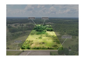 0 BEAUTY HILL RD, Bethel Springs, Tennessee 38315, ,Land,For Sale,BEAUTY HILL,10223461 0 BEAUTY HILL RD, Bethel Springs, Tennessee 38315, ,Land,For Sale,BEAUTY HILL,10223461