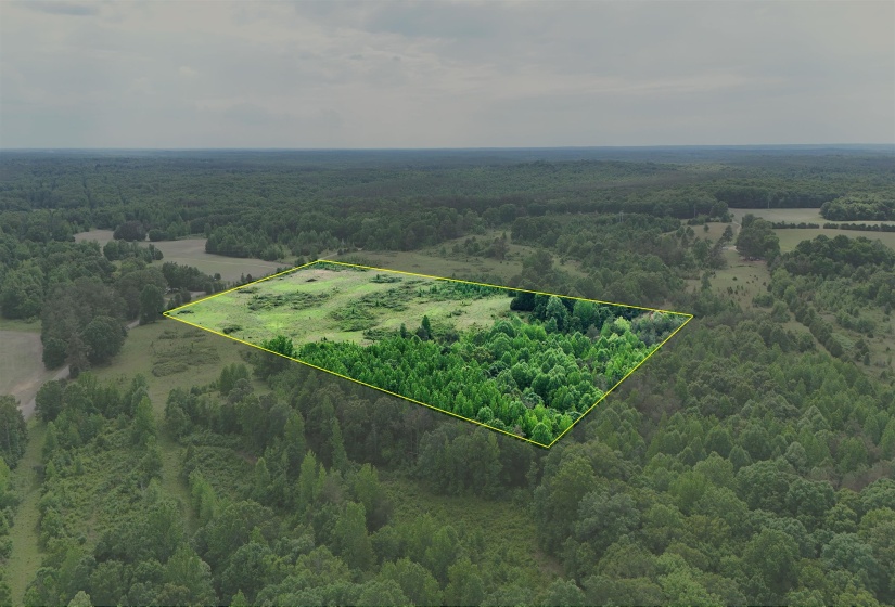 0 BEAUTY HILL RD, Bethel Springs, Tennessee 38315, ,Land,For Sale,BEAUTY HILL,10223461