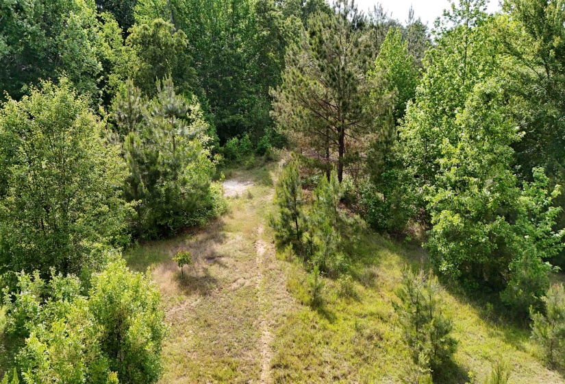 0 BEAUTY HILL RD, Bethel Springs, Tennessee 38315, ,Land,For Sale,BEAUTY HILL,10223461