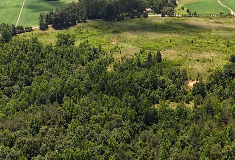 0 BEAUTY HILL RD, Bethel Springs, Tennessee 38315, 0 , 0 ,0,Land,For Sale,BEAUTY HILL,0,10223463