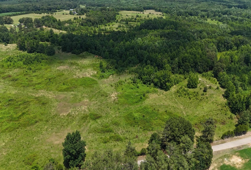 0 BEAUTY HILL RD, Bethel Springs, Tennessee 38315, 0 , 0 ,0,Land,For Sale,BEAUTY HILL,0,10223463