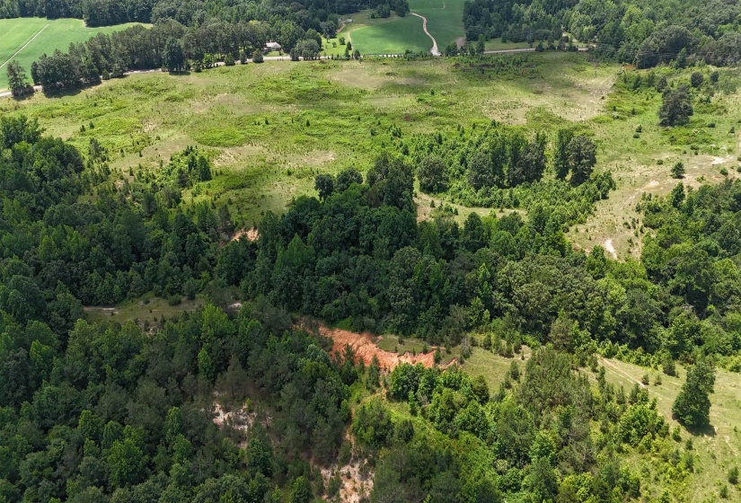 0 BEAUTY HILL RD, Bethel Springs, Tennessee 38315, 0 , 0 ,0,Land,For Sale,BEAUTY HILL,0,10223463
