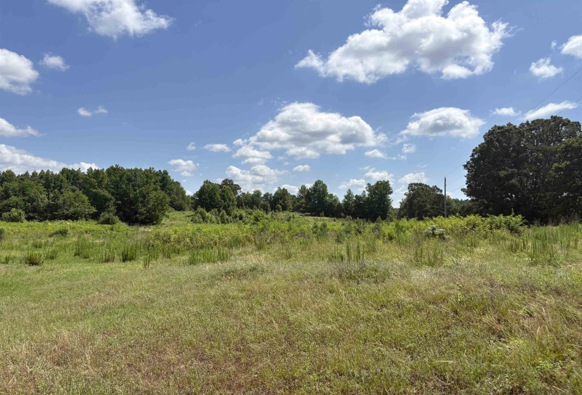 0 BEAUTY HILL RD, Bethel Springs, Tennessee 38315, 0 , 0 ,0,Land,For Sale,BEAUTY HILL,0,10223463