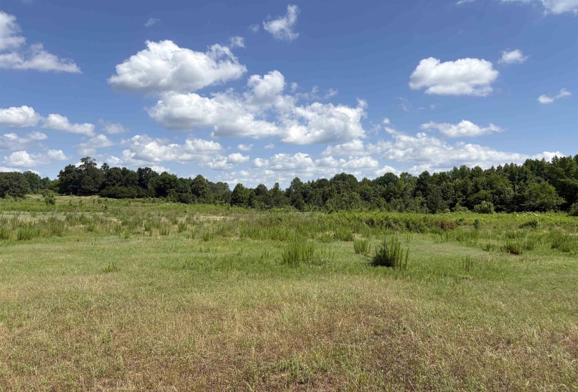 0 BEAUTY HILL RD, Bethel Springs, Tennessee 38315, 0 , 0 ,0,Land,For Sale,BEAUTY HILL,0,10223463