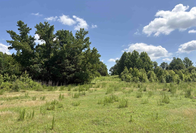 0 BEAUTY HILL RD, Bethel Springs, Tennessee 38315, 0 , 0 ,0,Land,For Sale,BEAUTY HILL,0,10223463