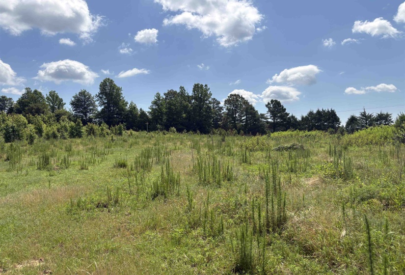 0 BEAUTY HILL RD, Bethel Springs, Tennessee 38315, 0 , 0 ,0,Land,For Sale,BEAUTY HILL,0,10223463