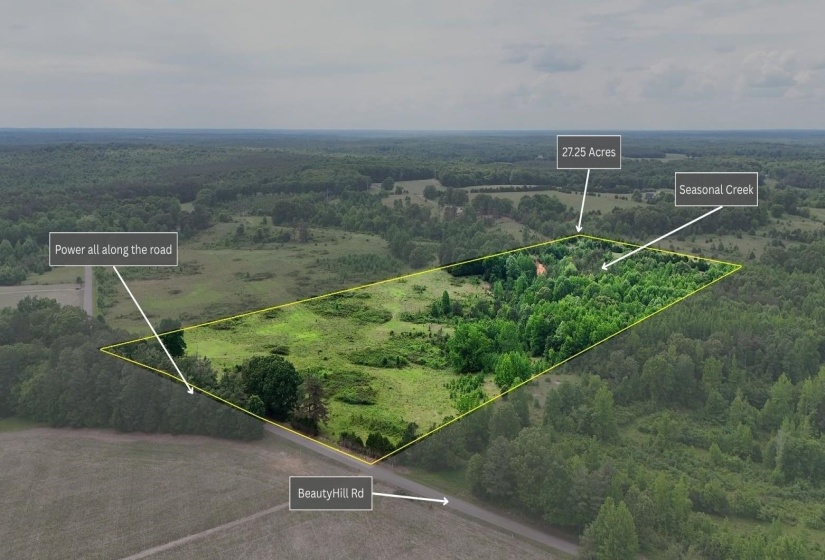 0 BEAUTY HILL RD, Bethel Springs, Tennessee 38315, ,Land,For Sale,BEAUTY HILL,10223463
