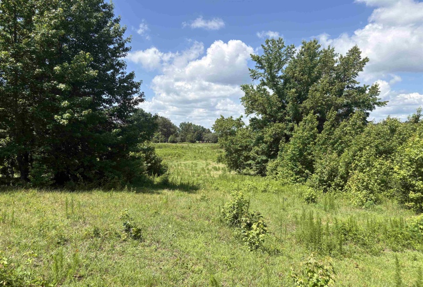 0 BEAUTY HILL RD, Bethel Springs, Tennessee 38315, 0 , 0 ,0,Land,For Sale,BEAUTY HILL,0,10223463