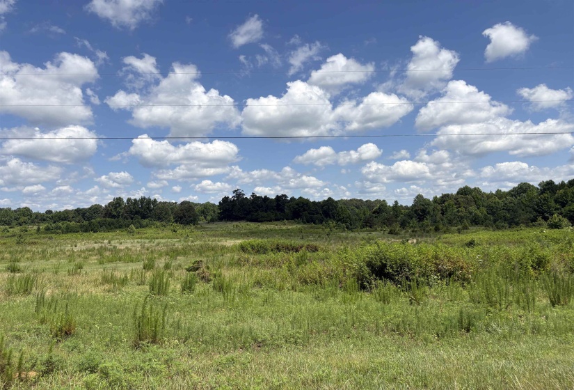 0 BEAUTY HILL RD, Bethel Springs, Tennessee 38315, 0 , 0 ,0,Land,For Sale,BEAUTY HILL,0,10223463
