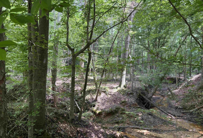 0 BEAUTY HILL RD, Bethel Springs, Tennessee 38315, 0 , 0 ,0,Land,For Sale,BEAUTY HILL,0,10223463