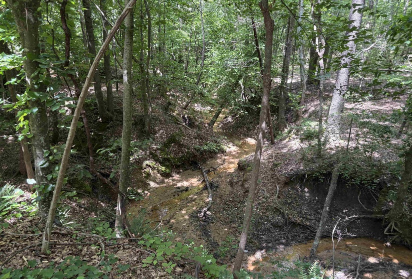 0 BEAUTY HILL RD, Bethel Springs, Tennessee 38315, 0 , 0 ,0,Land,For Sale,BEAUTY HILL,0,10223463